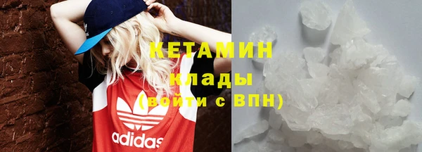 прущие грибы Покровск