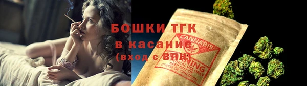 ПСИЛОЦИБИНОВЫЕ ГРИБЫ Лихославль