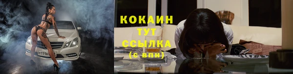 ПСИЛОЦИБИНОВЫЕ ГРИБЫ Лихославль