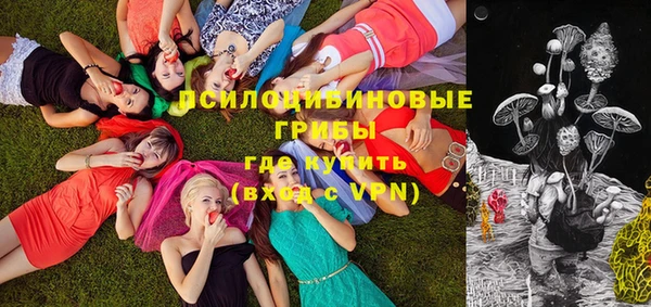 ПСИЛОЦИБИНОВЫЕ ГРИБЫ Лихославль