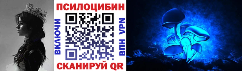 Галлюциногенные грибы MAGIC MUSHROOMS  OMG как войти  Талдом 